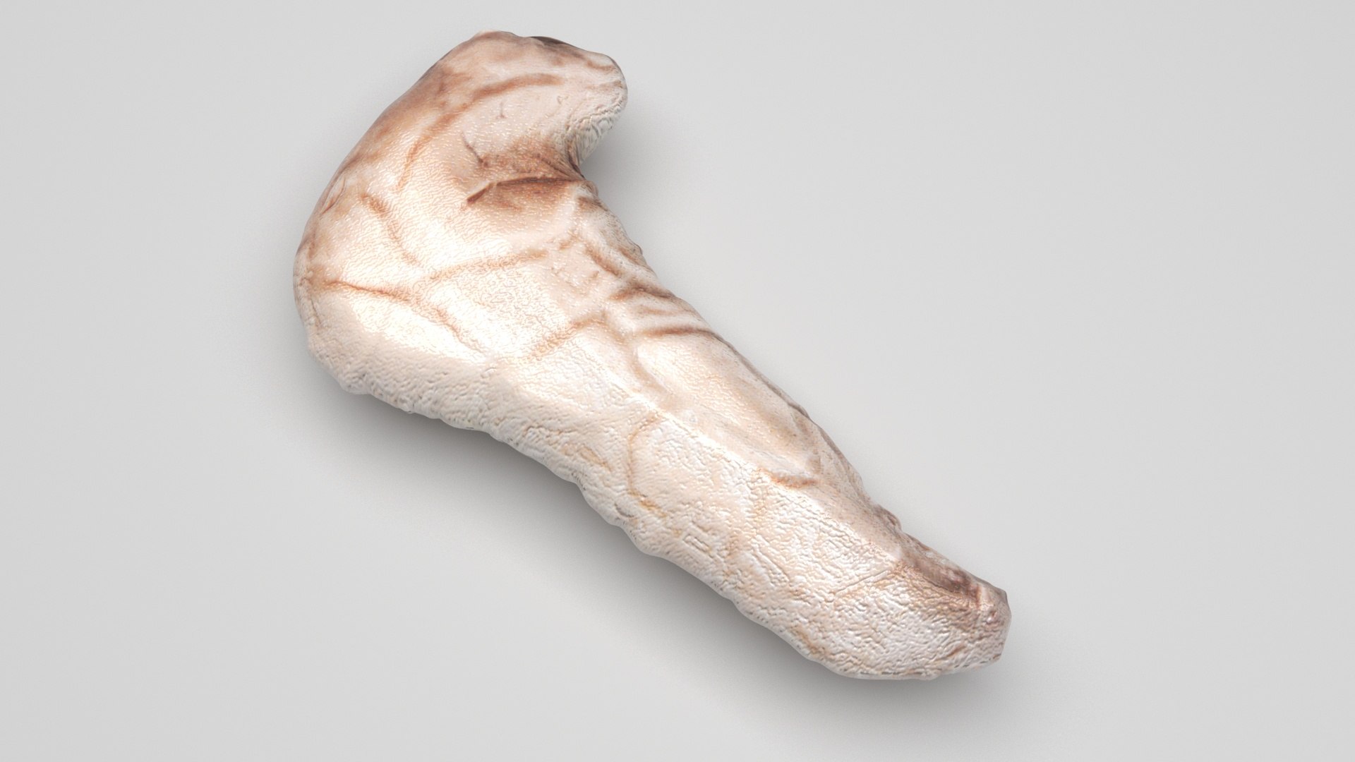 3D Pancreas With Pancreas Section model https://p.turbosquid.com/ts-thumb/4d/YFK5Ej/pf/pancreas4/jpg/1718392449/1920x1080/fit_q87/8e3b334aa9bc783297520b58dab9782423b81b6b/pancreas4.jpg