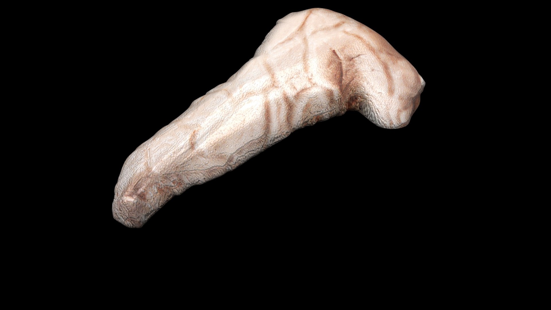 3D Pancreas With Pancreas Section model https://p.turbosquid.com/ts-thumb/4d/YFK5Ej/rJ/pancreas7/jpg/1718392447/1920x1080/fit_q87/b15f0be33dab3eb3bfd66524f957649c6d39a637/pancreas7.jpg
