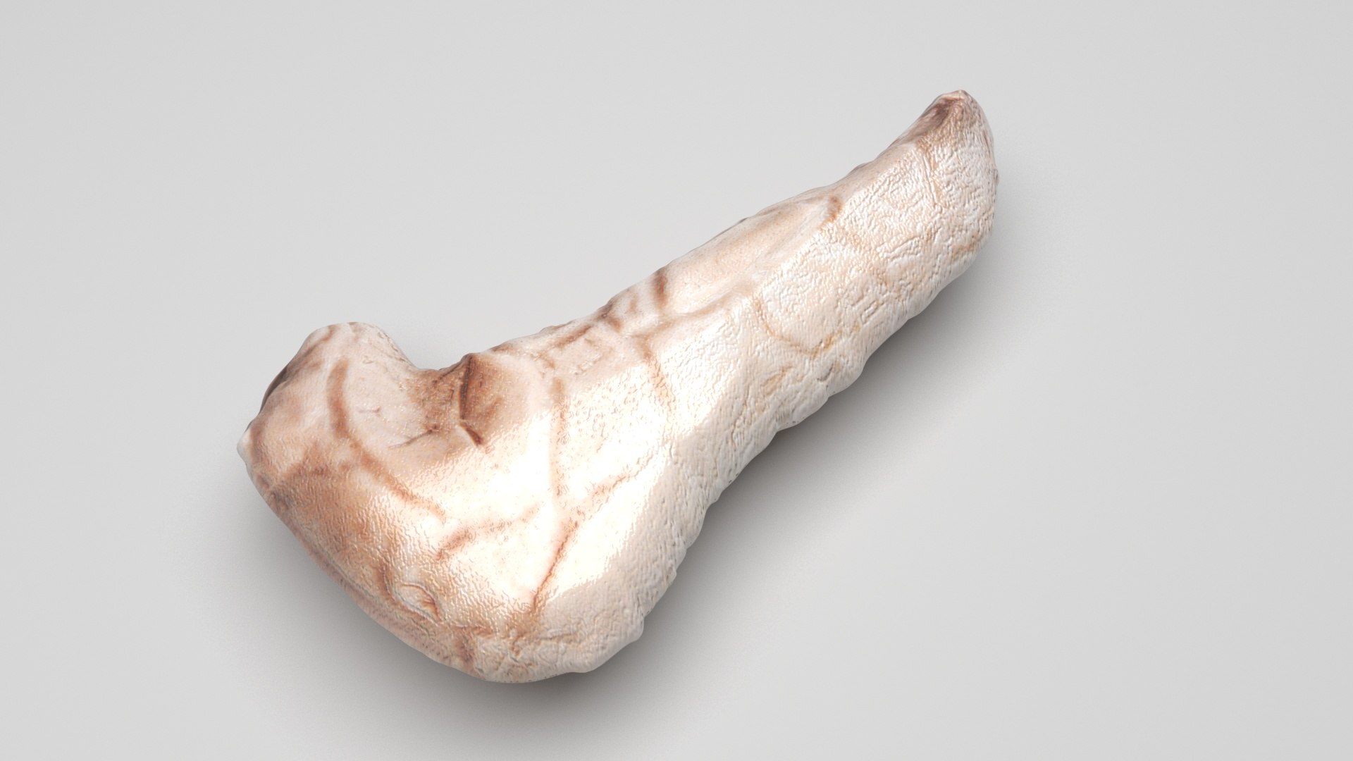3D Pancreas With Pancreas Section model https://p.turbosquid.com/ts-thumb/4d/YFK5Ej/xj/pancreas3/jpg/1718392449/1920x1080/fit_q87/517ef5fec408e8fb29d71c556b701488204289c0/pancreas3.jpg