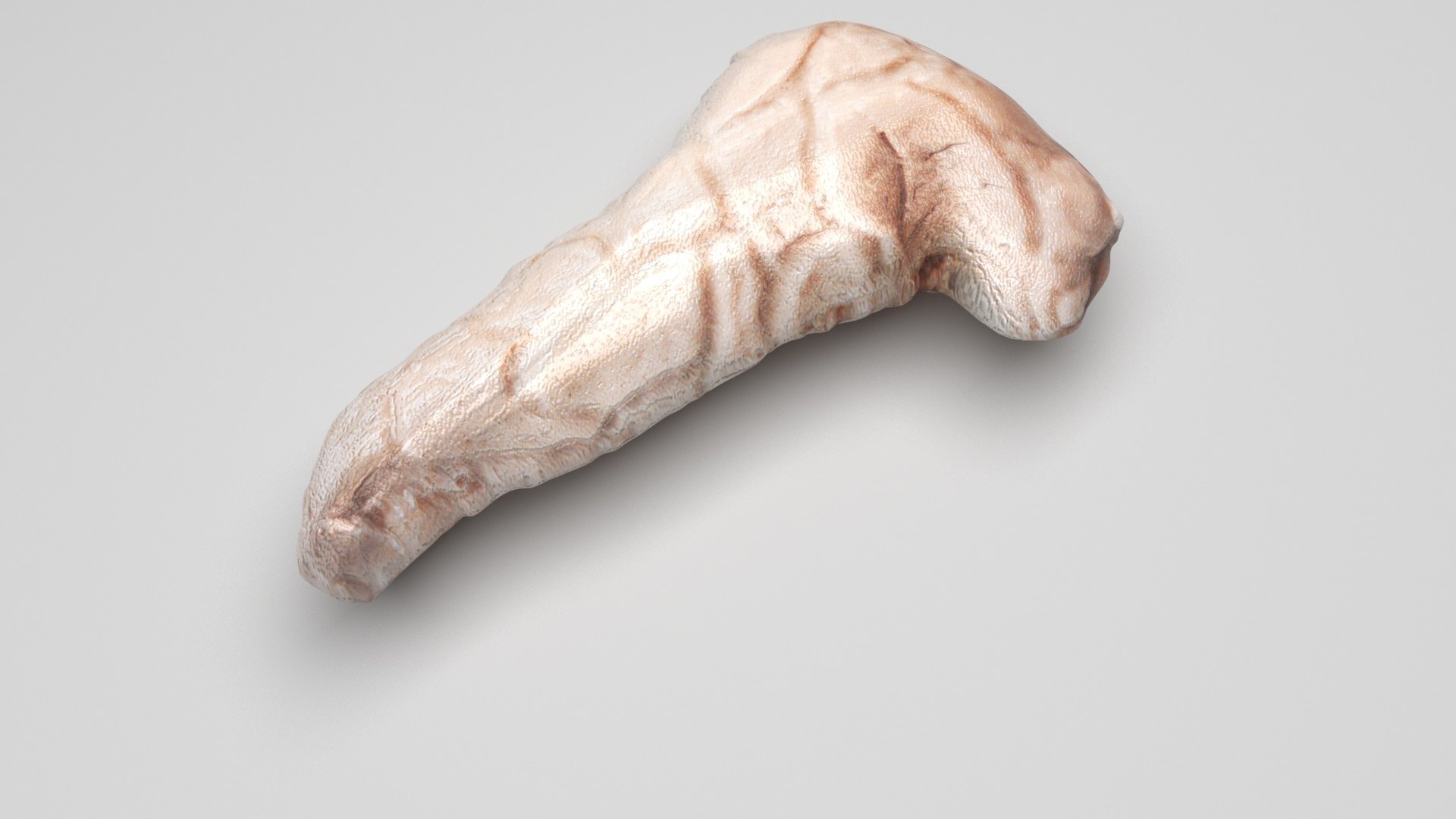 3D Pancreas With Pancreas Section model https://p.turbosquid.com/ts-thumb/4d/YFK5Ej/zO/pancreas5/jpg/1718392448/1920x1080/fit_q87/b3ac2c3dd2b360d5d87c292f36e5771fb8a384aa/pancreas5.jpg