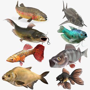 Freshwater Fish Collection 3 Rigged for Maya