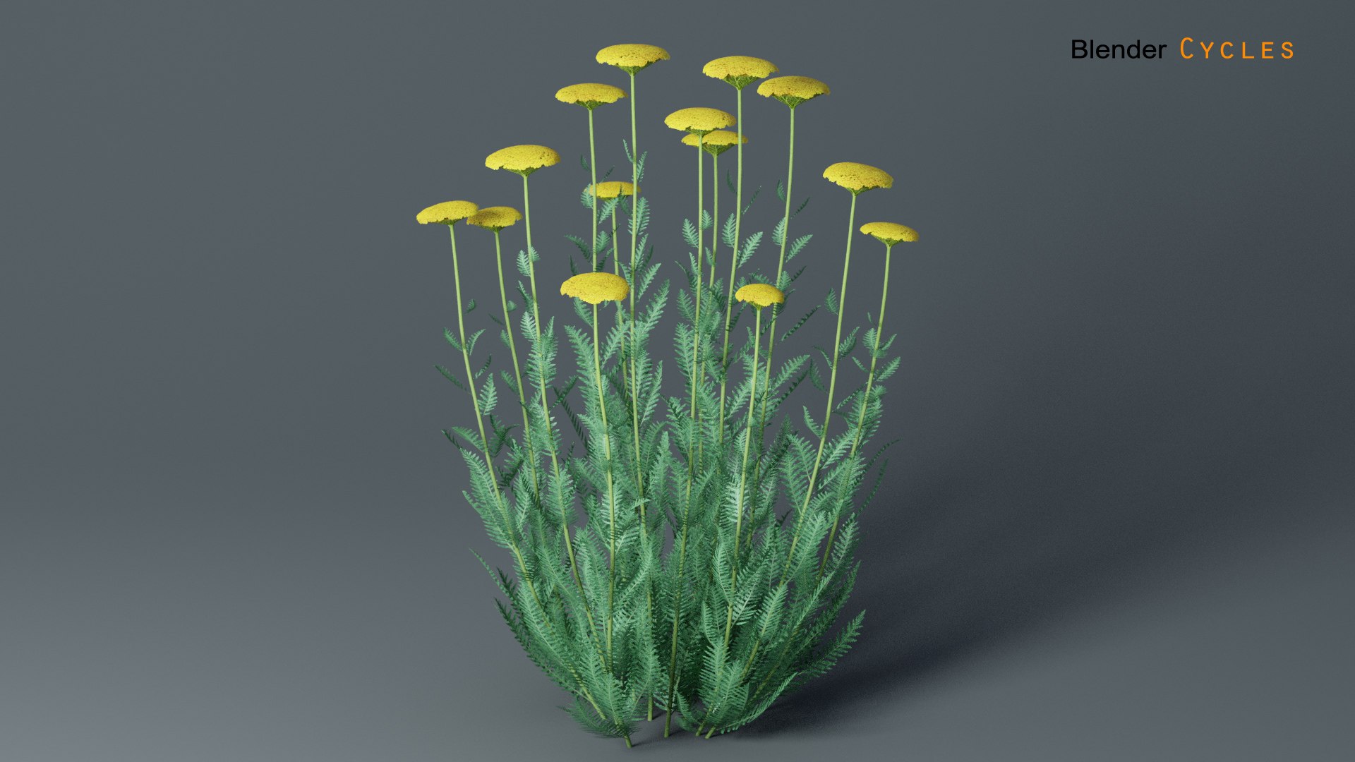 landscape achillea 3D model https://p.turbosquid.com/ts-thumb/4d/xeofxe/AhOCahv5/achilleacycle01/jpg/1581671559/1920x1080/fit_q87/a756436eb82bdcaf5ca8a1a15044ce6d1737b29a/achilleacycle01.jpg