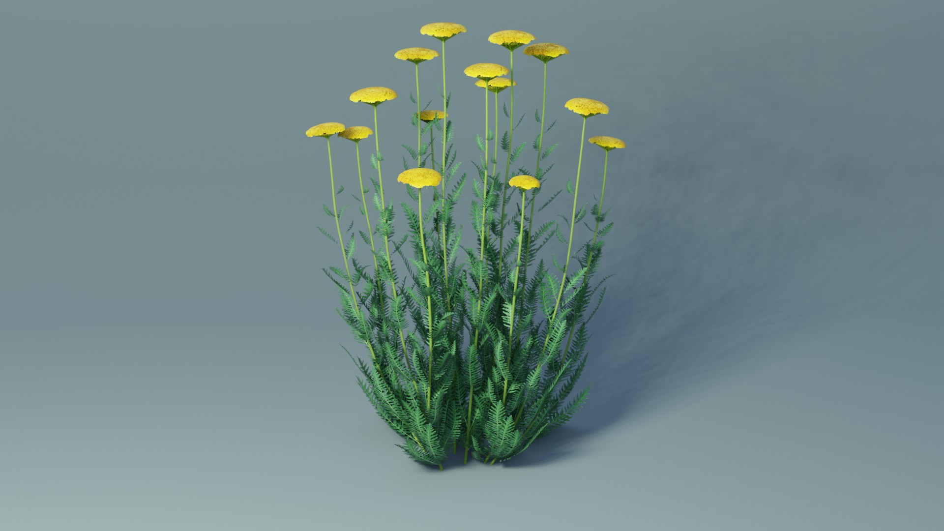 landscape achillea 3D model https://p.turbosquid.com/ts-thumb/4d/xeofxe/jjD8r2KJ/ac/jpg/1581701988/1920x1080/turn_fit_q99/8824b3c9dbc1dae2aae5f708a235498a5548781a/ac-1.jpg