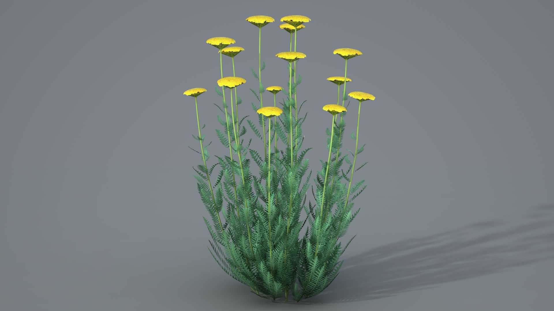 landscape achillea 3D model https://p.turbosquid.com/ts-thumb/4d/xeofxe/k2EtQELw/achilleavray03/jpg/1581671559/1920x1080/fit_q87/6623a1ce0e879889596a233990c54381cfc84ef9/achilleavray03.jpg