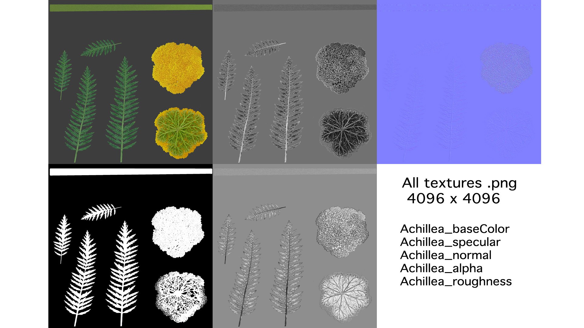 landscape achillea 3D model https://p.turbosquid.com/ts-thumb/4d/xeofxe/kQJWtOAK/textures/jpg/1581671559/1920x1080/fit_q87/cab01eb263f3f2bba65627d18c8855f8f1890137/textures.jpg