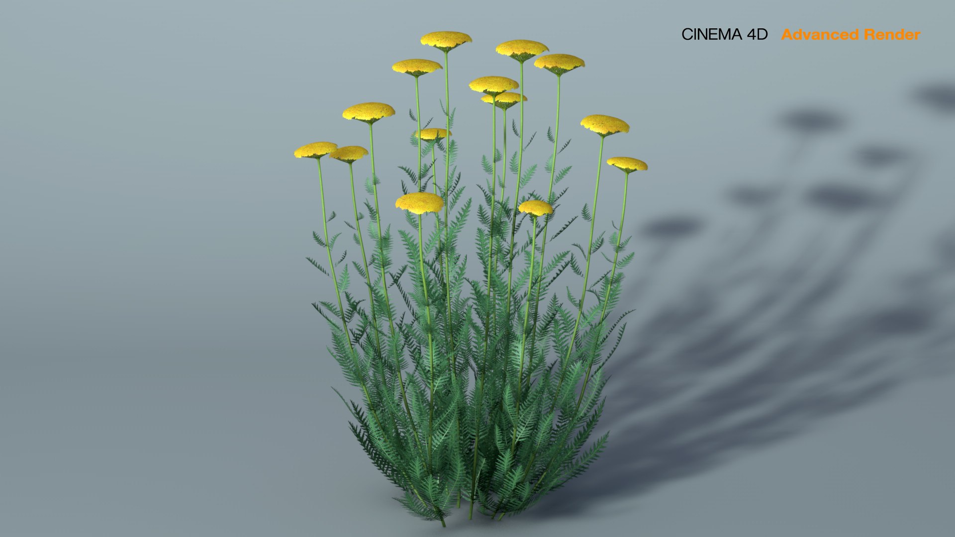 landscape achillea 3D model https://p.turbosquid.com/ts-thumb/4d/xeofxe/nqQ8QbpK/achillea_ar3/jpg/1581671559/1920x1080/fit_q87/3cf4becf81debef07784213dc26026414ebef00b/achillea_ar3.jpg