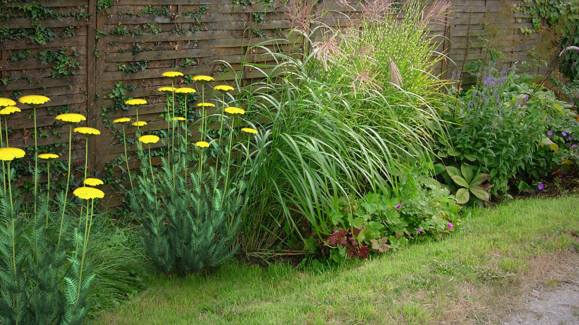 landscape achillea 3D model https://p.turbosquid.com/ts-thumb/4d/xeofxe/wmr0N5MG/sceneachillea01/jpg/1581671559/1920x1080/fit_q87/317d661091d124ed5357a23ed5f56a2198563e91/sceneachillea01.jpg