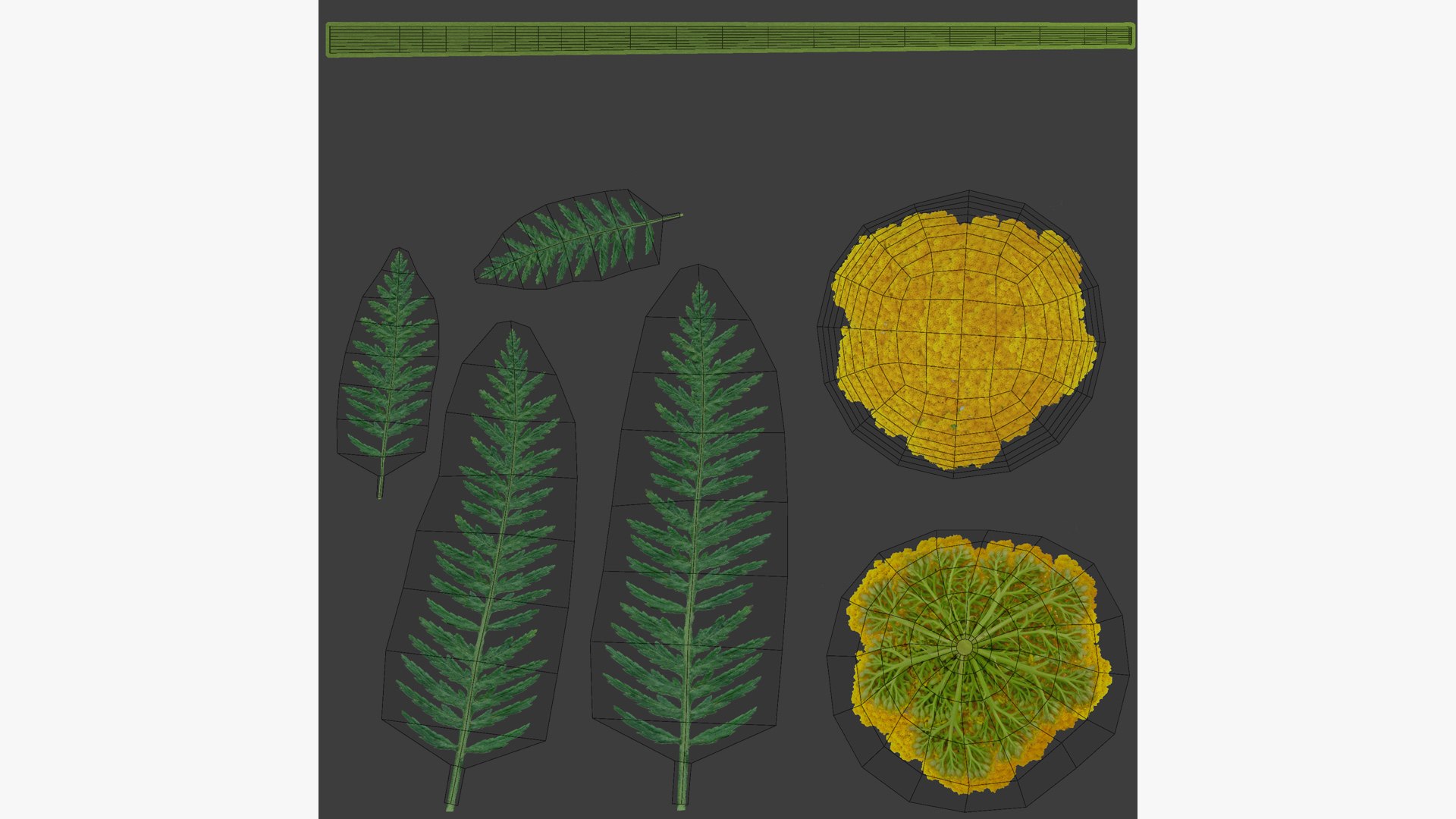 landscape achillea 3D model https://p.turbosquid.com/ts-thumb/4d/xeofxe/yrXhque1/uvs/jpg/1581671559/1920x1080/fit_q87/e5caefdcd24b16be2b9041f09347e2e3a0a21b2a/uvs.jpg