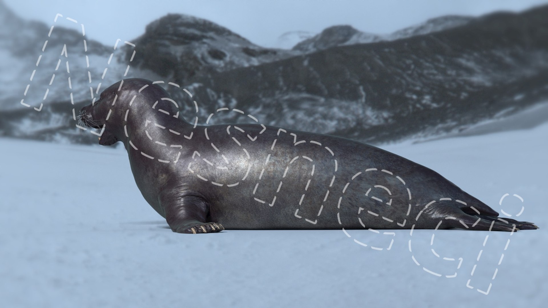 seal product rigged 3D https://p.turbosquid.com/ts-thumb/4e/3pVP7Y/1C5TTnFb/seal_images_13/jpg/1518662638/1920x1080/fit_q87/83e04399d303e299e7e758d7c481021d28a7ae25/seal_images_13.jpg