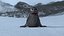 Realistic Rigged Seal (Production Ready)