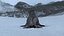 Realistic Rigged Seal (Production Ready)