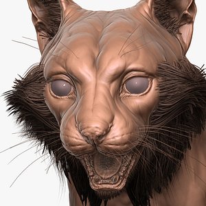 Fully Detailed Canadian Lynx Zbrush Sculpt 3D