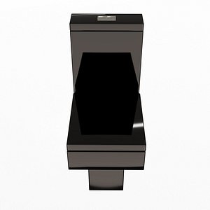Black Modern Toilet