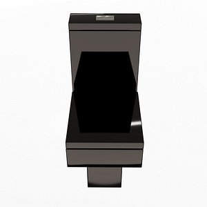 Black Modern Toilet