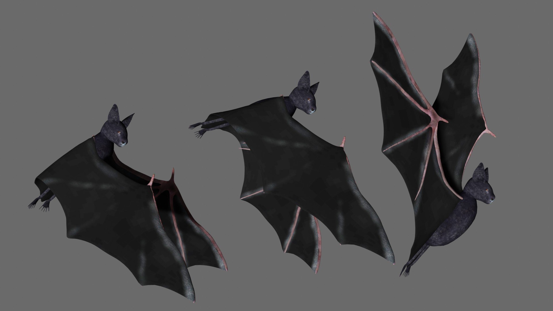 Rigged bat 3D model - TurboSquid 1751451