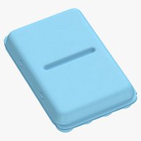 Foam Carton of Eggs 24 with Color Variations Blank and Generic Label