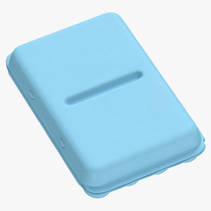 Foam Carton of Eggs 24 with Color Variations Blank and Generic Label