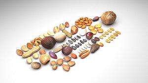Nuts Collection 3D model