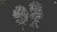 Ash-tree02winter15