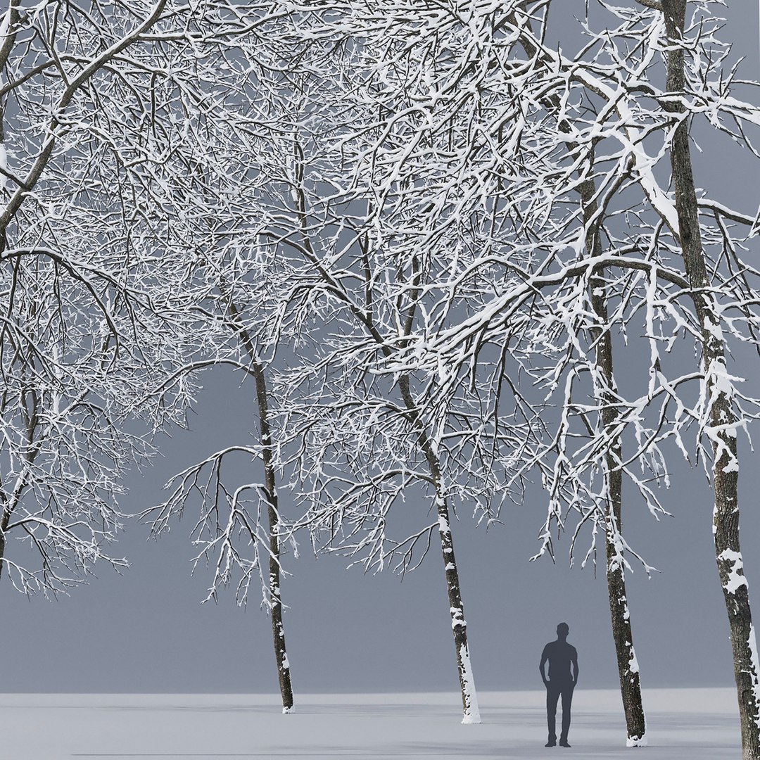 3D tree ash winter https://p.turbosquid.com/ts-thumb/4e/MLCKvb/uL/210/jpg/1612609794/1920x1080/fit_q87/d82278d5e2f6899d6aaa29d011e583a58e228dce/210.jpg