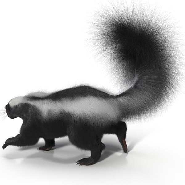 3ds max skunk pose 2 fur