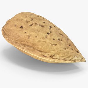 3D Almond Nut In Shell model