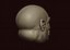 ORC head 3D print 3D model