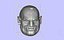 ORC head 3D print 3D model