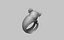 anello di maiale02