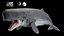 3D model Livyatan melvillei Moby dick whale rigged