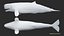 3D model Livyatan melvillei Moby dick whale rigged