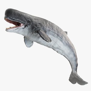 3D model Livyatan melvillei Moby dick whale rigged
