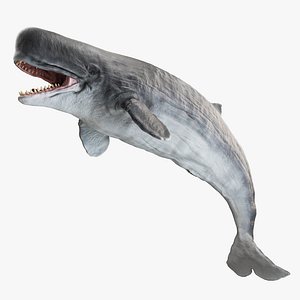 Livyatan melvillei Moby dick whale rigged