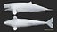 3D model Livyatan melvillei Moby dick whale rigged
