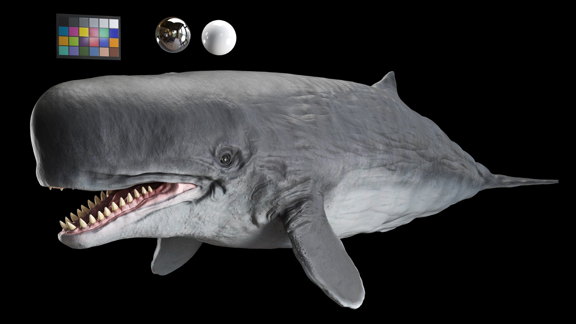 3D model Livyatan melvillei Moby dick whale rigged https://p.turbosquid.com/ts-thumb/4e/rvFHXo/v3/1/jpg/1744988558/1920x1080/fit_q87/52bbe9c5e407c6991f94b6b0241bd8d7ef9392e4/1.jpg