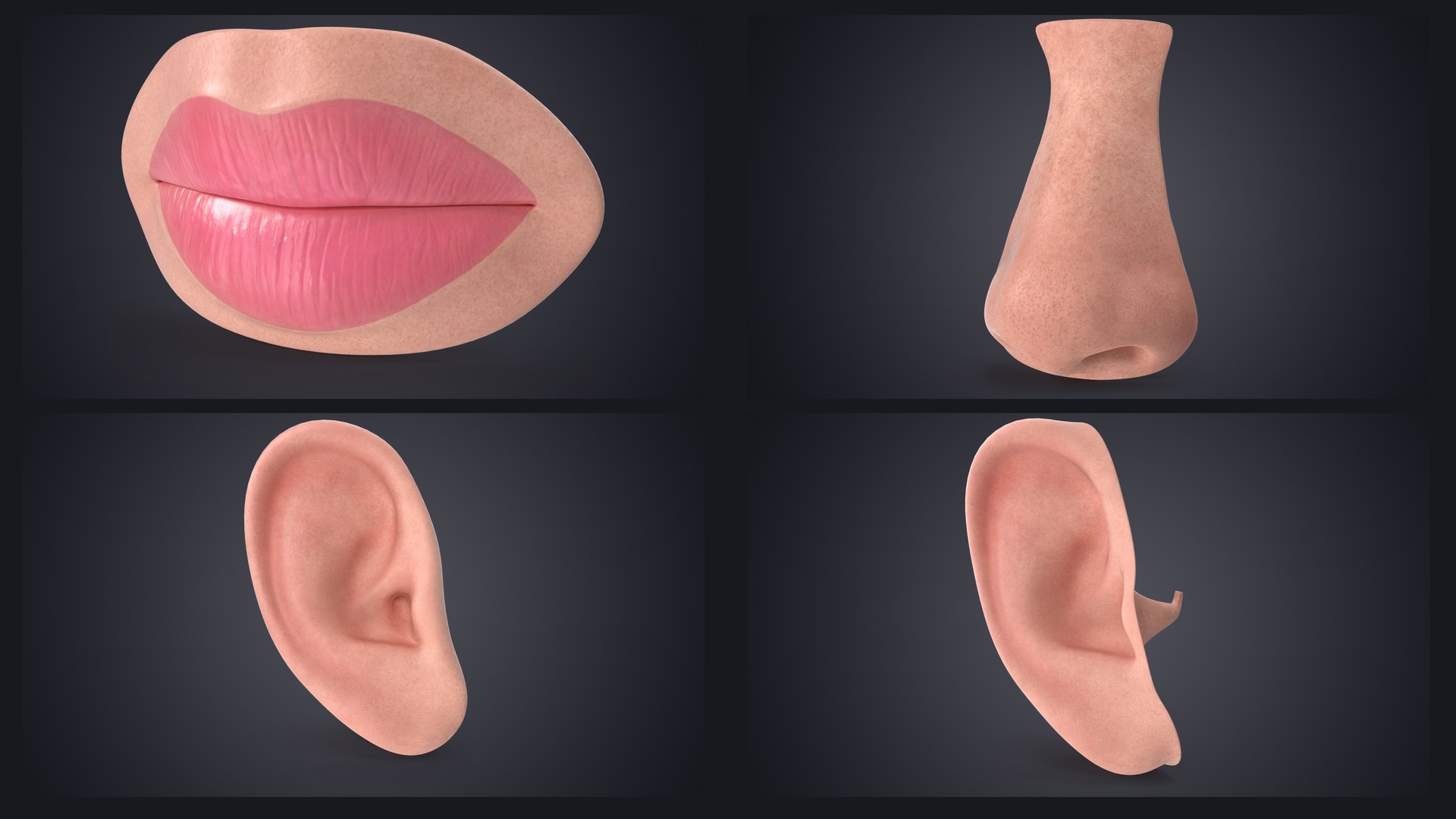Lips Ears Nose Collection Bundle 3D https://p.turbosquid.com/ts-thumb/4e/tRpnB3/Xh/contextsignature/jpg/1744465136/1920x1080/fit_q87/d71c288cc3ab462cc34cc23eee516094c5aece9b/contextsignature.jpg