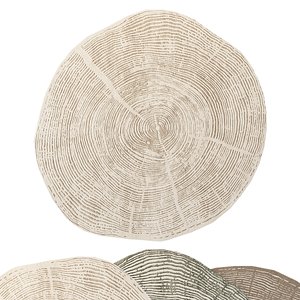 Woodcut Tree Ring Rugs Set 169 200cm 3D
