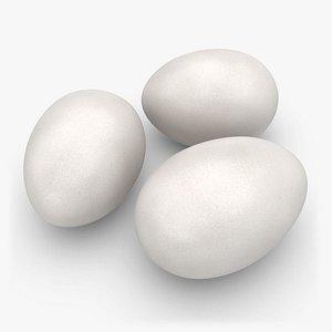 max realistic eggs white