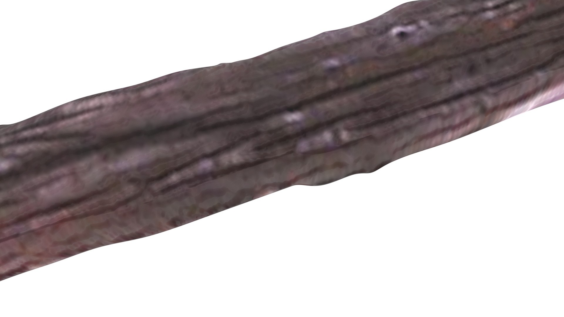 Vanilla Stick 3D https://p.turbosquid.com/ts-thumb/4f/1EqxwI/5y/vanillastick14/jpg/1772798237/1920x1080/fit_q87/9497f44b5457a925b860df0f9e06dadd7354f99f/vanillastick14.jpg