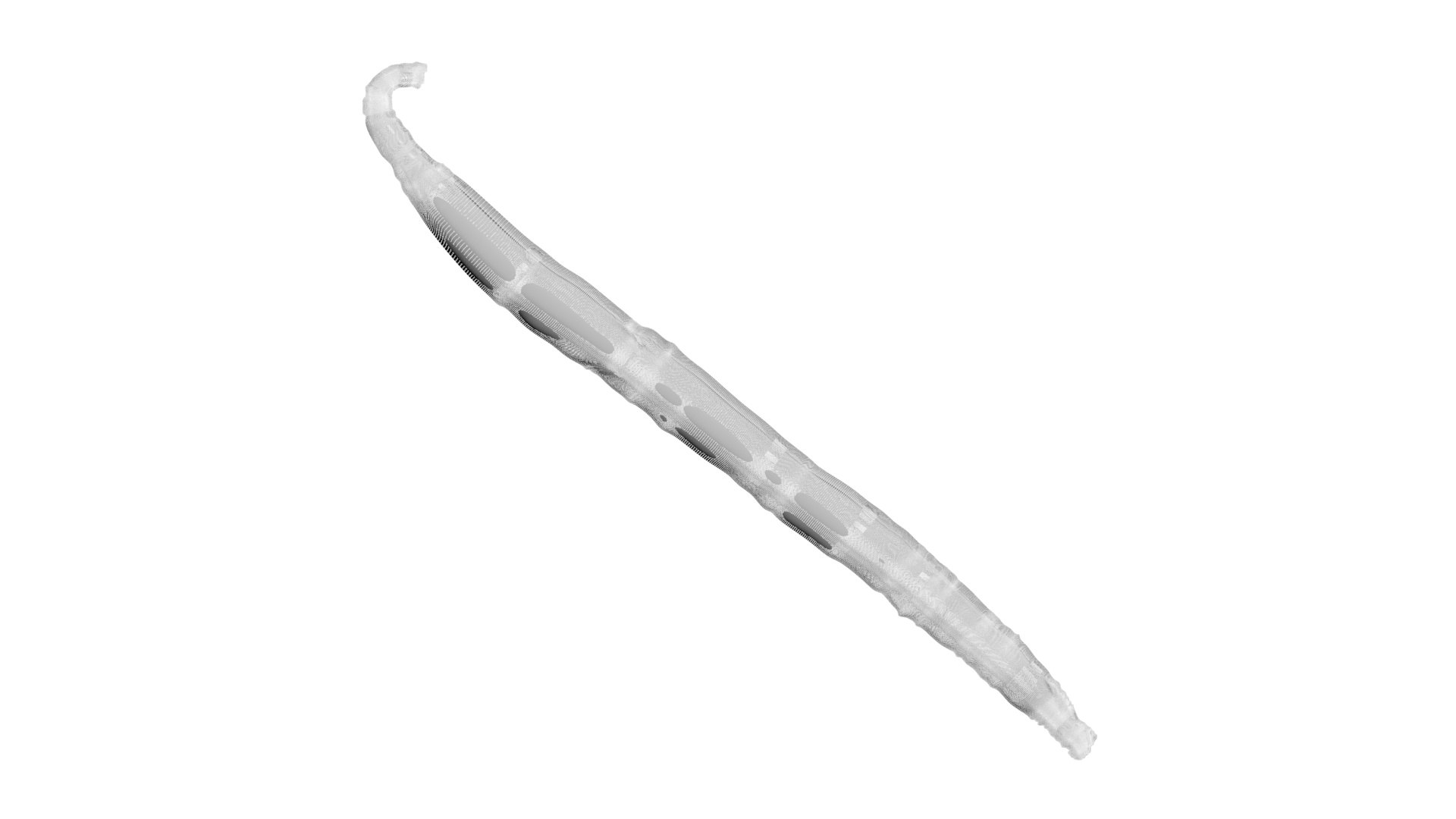 Vanilla Stick 3D https://p.turbosquid.com/ts-thumb/4f/1EqxwI/9n/vanillastick31/jpg/1772798228/1920x1080/fit_q87/ffab74ffe92034146e605e9fa3d4183669cb6e2b/vanillastick31.jpg