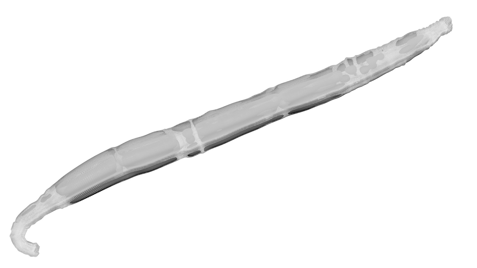 Vanilla Stick 3D https://p.turbosquid.com/ts-thumb/4f/1EqxwI/Mw/vanillastick23/jpg/1772798232/1920x1080/fit_q87/25e53927e2f8796927d8b39b52e0065af636f16f/vanillastick23.jpg