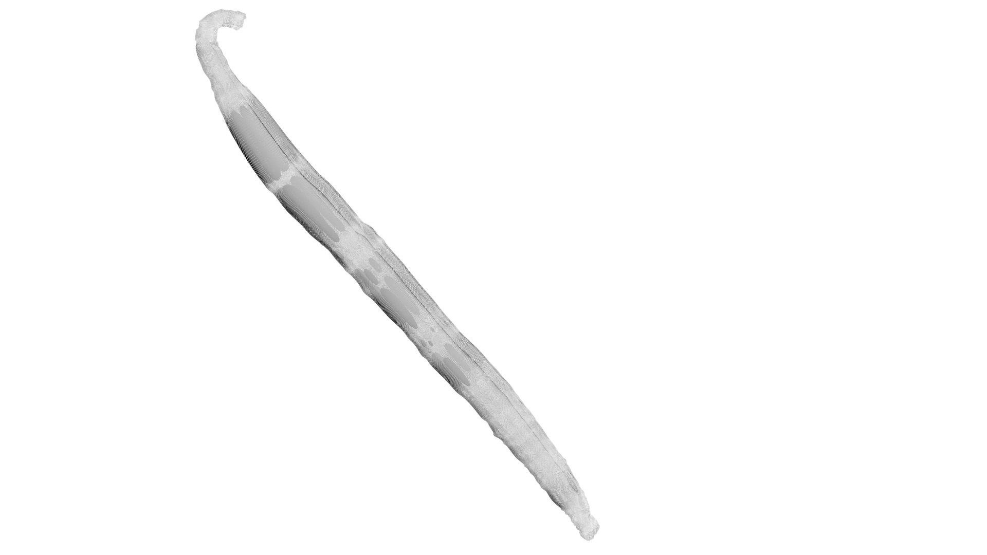 Vanilla Stick 3D https://p.turbosquid.com/ts-thumb/4f/1EqxwI/XT/vanillastick27/jpg/1772798230/1920x1080/fit_q87/9c8d70324224ea08faf0ab10a2f1f17bd3312de1/vanillastick27.jpg