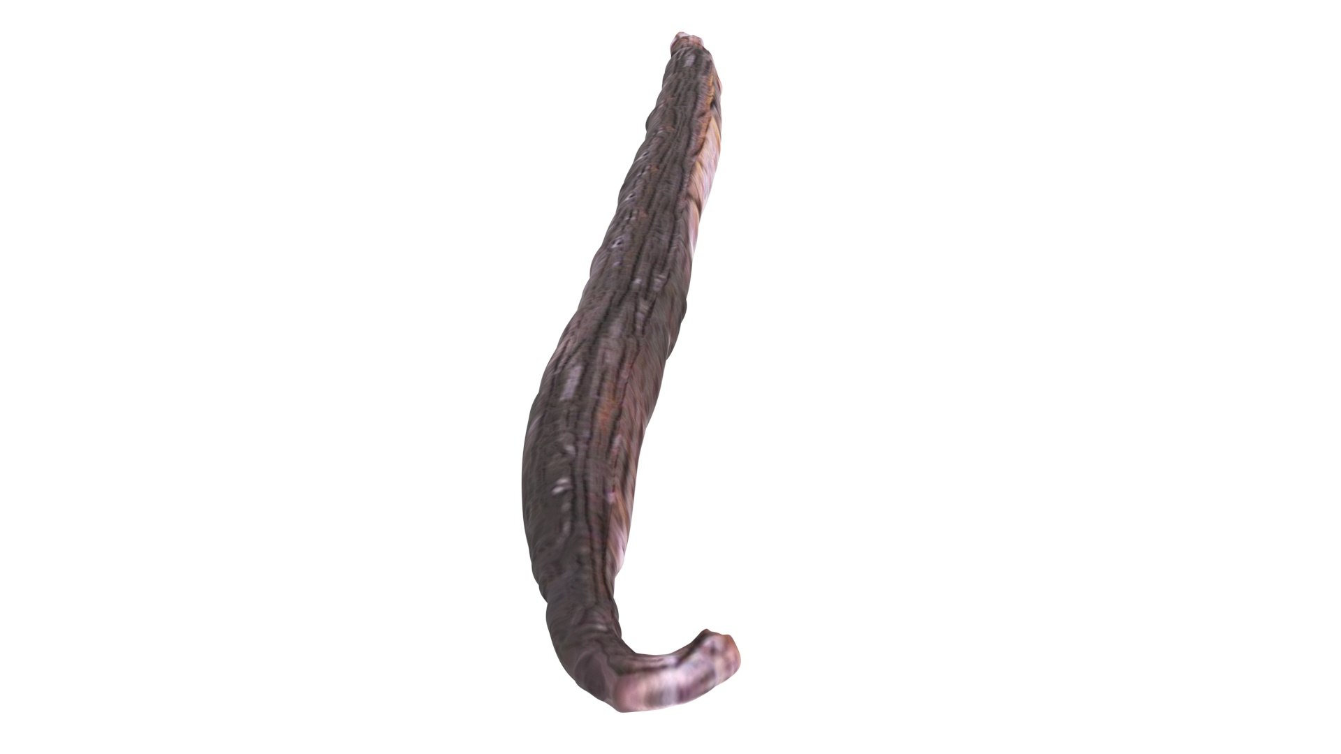 Vanilla Stick 3D https://p.turbosquid.com/ts-thumb/4f/1EqxwI/jM/vanillastick8/jpg/1772798240/1920x1080/fit_q87/b5177442b97cdbbb11228743c66cb1257008ee4d/vanillastick8.jpg