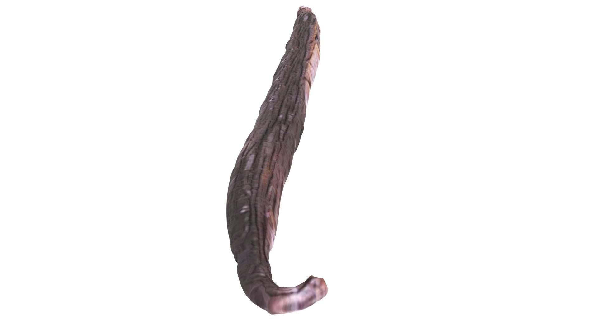 Vanilla Stick 3D https://p.turbosquid.com/ts-thumb/4f/1EqxwI/rS/vanillastick15/jpg/1772798235/1920x1080/fit_q87/84079882ba0ce57db31a646d77b162f80429ab76/vanillastick15.jpg