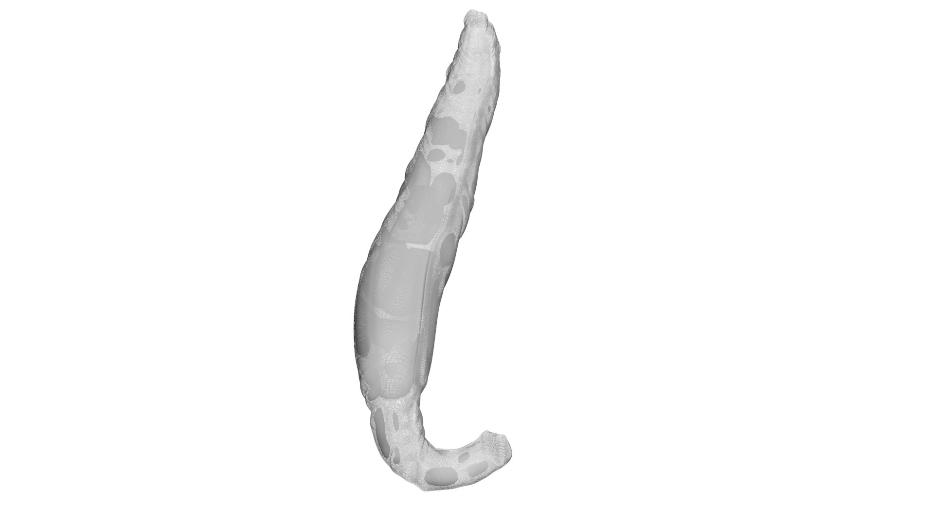 Vanilla Stick 3D https://p.turbosquid.com/ts-thumb/4f/1EqxwI/tu/vanillastick22/jpg/1772798232/1920x1080/fit_q87/953f8fede124666ae93f8fd5c1d5ea81d04fdd82/vanillastick22.jpg