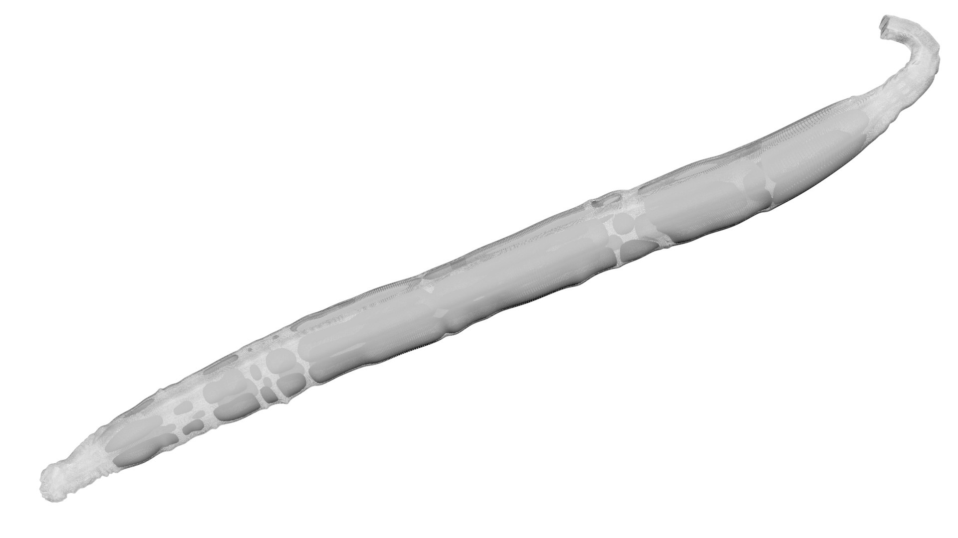 Vanilla Stick 3D https://p.turbosquid.com/ts-thumb/4f/1EqxwI/ur/vanillastick25/jpg/1772798231/1920x1080/fit_q87/4abbecf5c9aeeec7d0e4cc1762f384b3c7b08651/vanillastick25.jpg