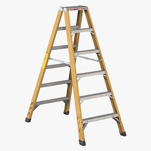 5 Step Metal Ladder 3D model