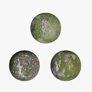 3D 3 Surface of Stone Moss set