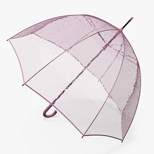Pink Clear Bubble Umbrella Wet 3D model