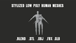 3D Stylized Low Poly Base Human Meshes RIGGED model